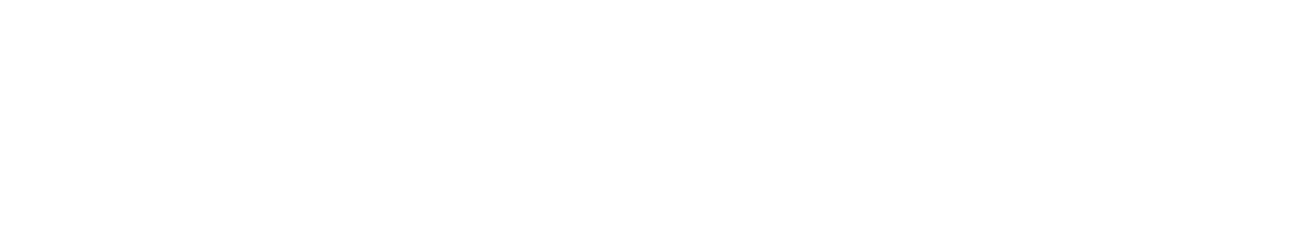 The Irish Channel